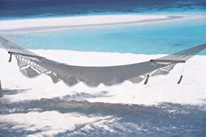 Images Dated 15th March 2010: Hammock on the beach, Maldives, Indian Ocean, Asia
