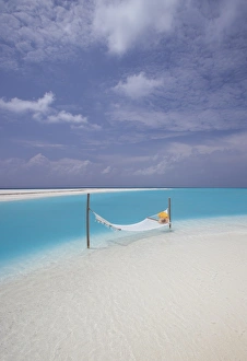 Hammock Prints: Hammock on the edge of beach, Maldives, Indian Ocean, Asia