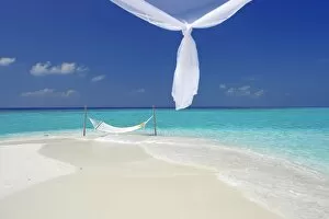 Images Dated 15th February 2010: Hammock hanging in shallow clear water, The Maldives, Indian Ocean, Asia