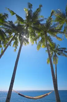 Hammock between palm trees on beach, Bali, Indonesia, Southeast Asia, Asia