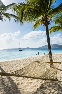 Hammock Prints: Hammock between two palms on a sandy beach