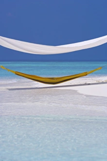 Hammock Prints: Hammock under shelter on tropical beach, Maldives, Indian Ocean, Asia