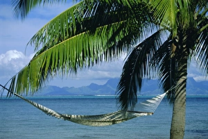 Tahiti Prints: Hammock, Tahiti