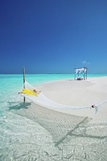 Hanging Prints: Hammock on tropical beach, Maldives, Indian Ocean, Asia