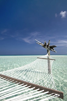 Hammock Prints: Hammock in tropical lagoon, Maldives, Indian Ocean, Asia