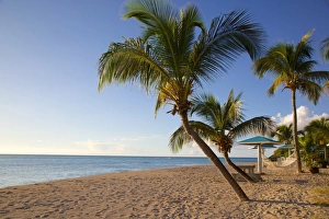 Hammock Prints: Hammock, Turners Beach, Antigua, Leeward Islands, West Indies, Caribbean, Central America
