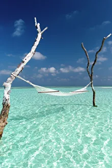 Hammock Prints: Hammock over the waters of a tropical lagoon, The Maldives, Indian Ocean, Asia