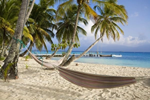 Images Dated 17th January 2008: Hammocks hanging between palm trees, Kuanidup Grande, Comarca de Kuna Yala