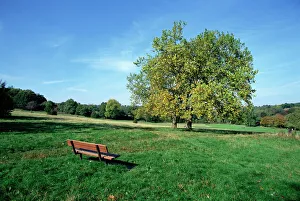 Seat Prints: Hampstead Heath, London, England, United Kingdom, Europe