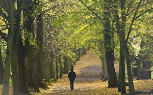 Hampstead Heath, North London, England, United Kingdom, Europe