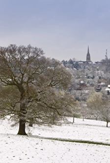 Images Dated 6th April 2008: Hampstead Heath in the snow, London, England, United Kingdom, Europe