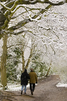 Images Dated 6th April 2008: Hampstead Heath in the snow, London, England, United Kingdom, Europe