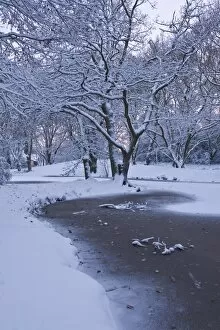 Images Dated 18th December 2010: Hampstead Heath in winter, North London, England, United Kingdom, Europe