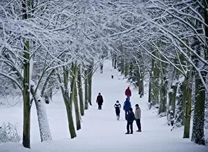 Hampstead Heath Collection: Hampstead Heath in winter, North London, England, United Kingdom, Europe