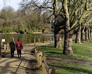 Two Women Prints: Hampstead ponds, Hampstead Heath, London, England, United Kingdom, Europe
