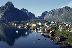 Lofoten Prints: Hamroy fishing village during summer