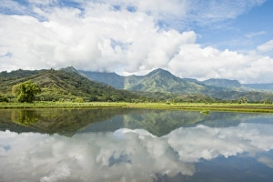 Kauai Prints: Hanalei National Wildlife Refuge, Hanalei Valley, Kauai, Hawaii, United States of America