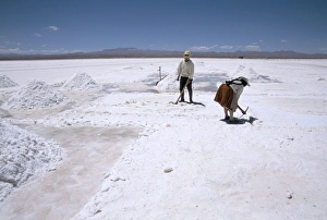Hand-working in Colchani salt pans, Salar de Uyuni, salt flat, Southwest Highlands