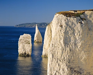 Handfast Point, Clifftop view showing the Pinnacles, early morning, Studland
