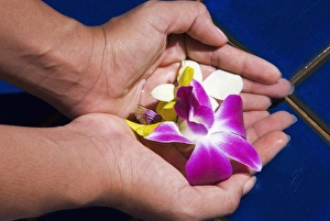 Orchid Prints: Hands and flowers
