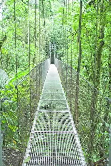 Costa Rica Gallery: Hanging bridge in rainforest, La Fortuna, Arenal, Costa Rica, Central America