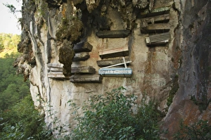 Hanging coffins of Animistic Applai elders entombed