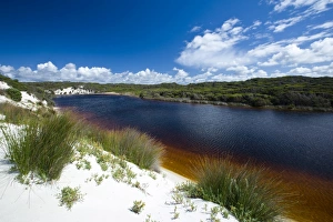Images Dated 3rd November 2007: Hanson Bay, Kangaroo Island, South Australia, Australia, Pacific
