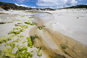 Images Dated 3rd November 2007: Hanson Bay, Kangaroo Island, South Australia, Australia, Pacific