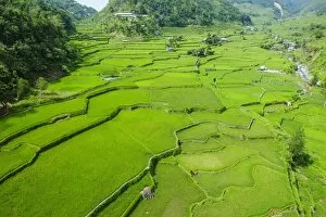 Images Dated 22nd April 2011: Hapao rice terraces, Banaue, UNESCO World Heritage Site, Luzon, Philippines, Southeast Asia, Asia