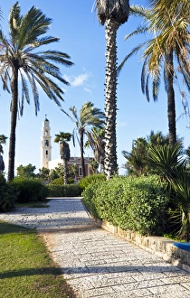 Tel Aviv Prints: HaPisgah Gardens (The Summit Garden), Jaffa, Tel Aviv, Israel, Middle East