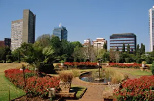 Zimbabwe Prints: Harare Public Gardens, and city skyline, Harare, Zimbabwe, Africa