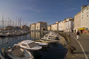 Images Dated 17th August 2008: Harbor of Piran, Slovenia, Europe