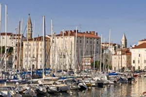 Images Dated 17th August 2008: Harbor of Piran, Slovenia, Europe