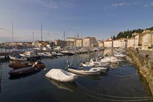 Images Dated 17th August 2008: Harbor of Piran, Slovenia, Europe