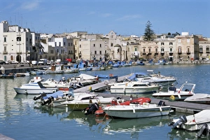 The harbour