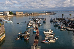 Algeria Prints: The harbour of Algiers, Algeria, North Africa, Africa