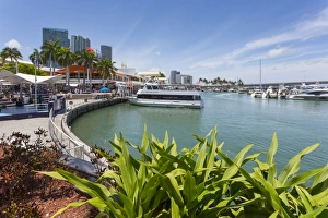 Miami Prints: Harbour in the Bayside Marketplace in Downtown, Miami, Florida, United States of America