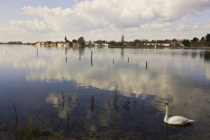The Harbour, Bosham, near Chichester, West Sussex, England, United Kingdom, Europe