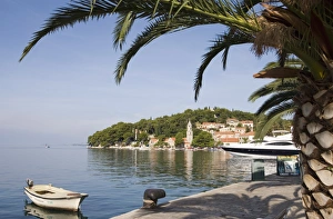 Cavtat Prints: Harbour at Cavtat on the Dalmation Coast, Croatia, Europe