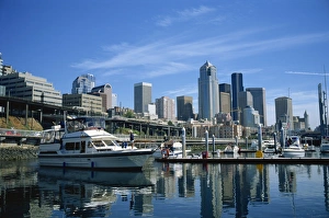 The harbour and city skyline