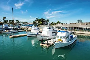 Typically American Prints: Harbour of Dana Point, ferry point to Santa Catalina Island