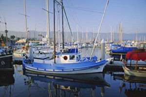 The harbour in the evening