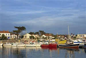 Poitou Charentes Prints: Harbour, La Cotiniere, Ile d Oleron, Poitou Charentes, France, Europe