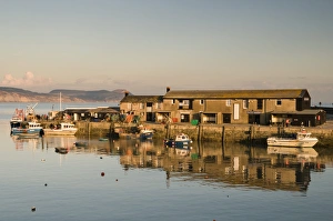 Lyme Regis Prints: The harbour at Lyme Regis taken from the Cobb, Dorset, England, United Kingdom, Europe
