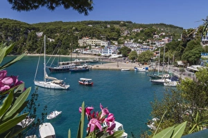 Sporades Prints: Harbour Patitiri, Alonnisos, Sporades, Greek Islands, Greece, Europe