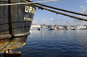 Images Dated 17th October 2006: The harbour, Ponta Delgada, Sao Miguel Island, Azores, Portugal, Europe