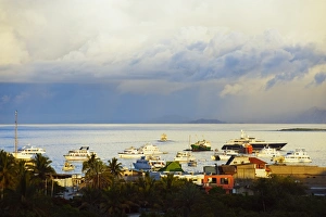 Isla Santa Cruz Prints: Harbour of Puerto Ayora, Isla Santa Cruz, Galapagos Islands, UNESCO World Heritage Site