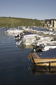 The harbour, Salcombe, South Hams, Devon, England, United Kingdom, Europe