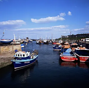 North Umberland Prints: Harbour, Seahouses, Northumberland, England, United Kingdom, Europe