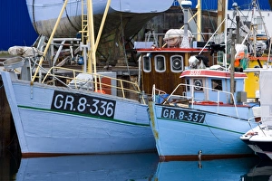 Images Dated 29th July 2007: Harbour, Sissimut, Greenland, Polar Regions